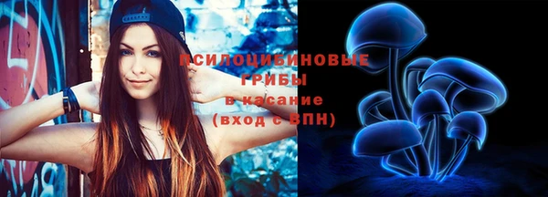 дурь Белоозёрский