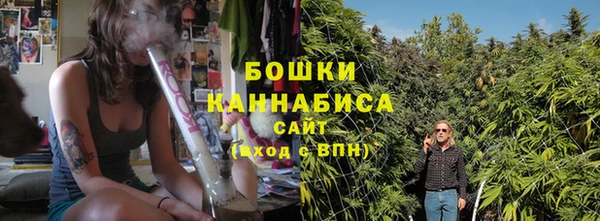 шишки Беломорск