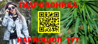 сатива Краснознаменск