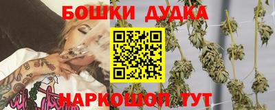 сатива Краснознаменск
