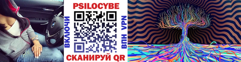 Псилоцибиновые грибы GOLDEN TEACHER  наркошоп  Биробиджан 