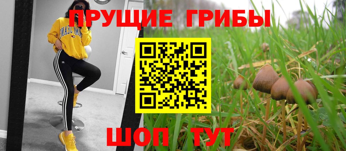 Галлюциногенные грибы MAGIC MUSHROOMS  Псилоцибиновые грибы мицелий  Биробиджан  Вход с VPN 