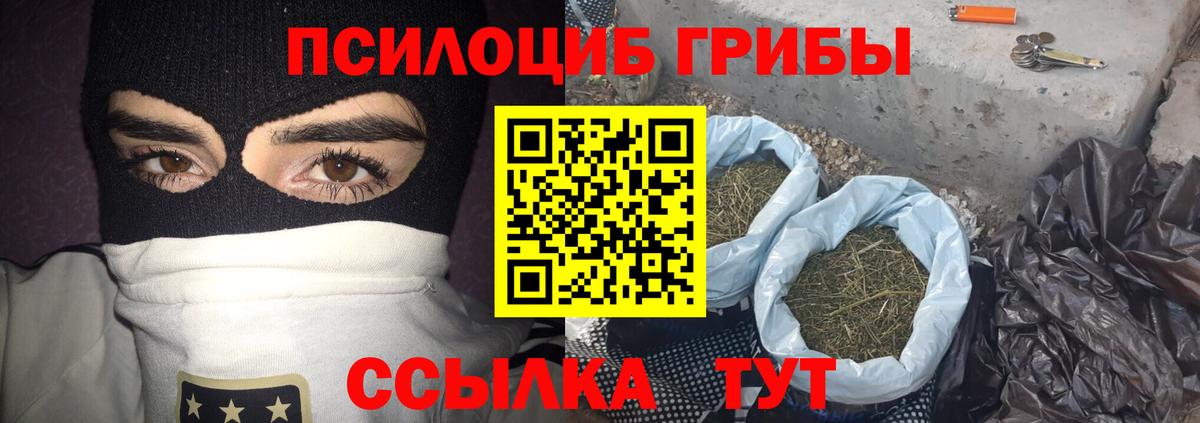 Псилоцибиновые грибы GOLDEN TEACHER Биробиджан