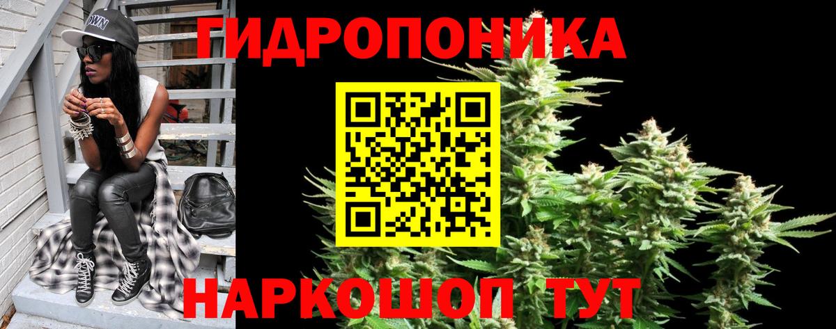 Бошки Шишки конопля Биробиджан
